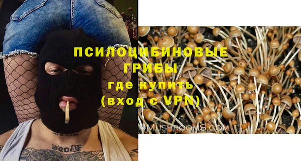 стафф Абинск