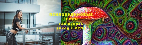 стафф Абинск