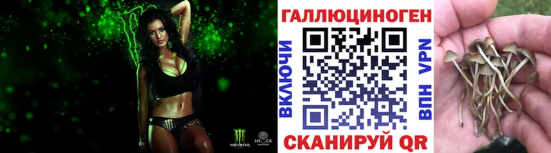 мориарти какой сайт  Донецк  Галлюциногенные грибы Cubensis 