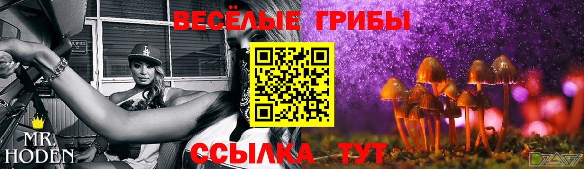 Псилоцибиновые грибы Psilocybine cubensis Донецк