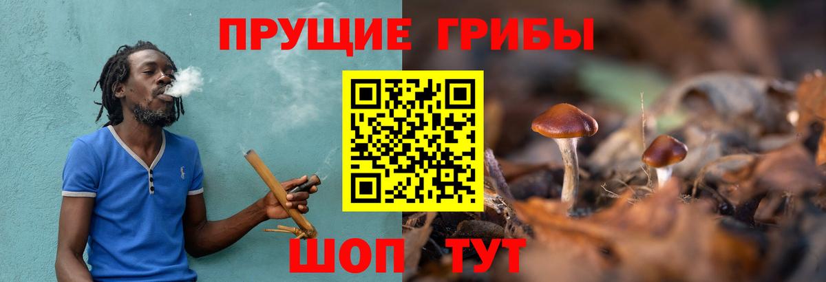 Донецк  Псилоцибиновые грибы Psilocybe  где купить наркотик  Псилоцибиновые грибы мухоморы  Вход с VPN 
